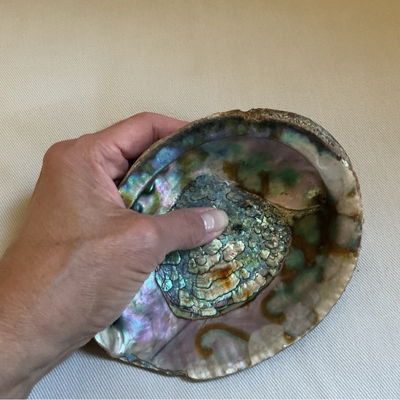 Abalone Shell Bowl + Sage Smudge Stick + Feather *3 Piece Set - Picture 8 of 9